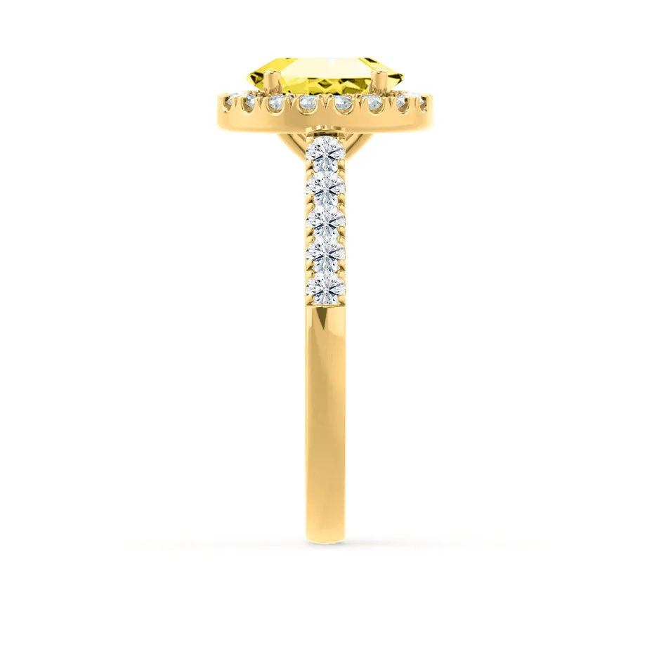 ROSA - Chatham® Yellow Sapphire & Diamond 18K Yellow Gold Halo