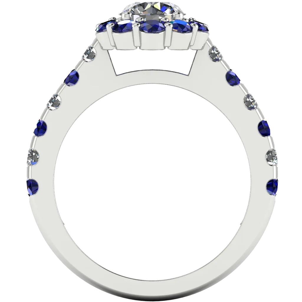 The Blue Cassia