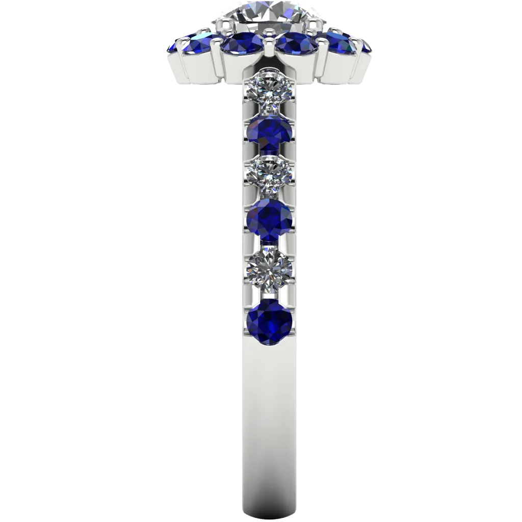 The Blue Cassia