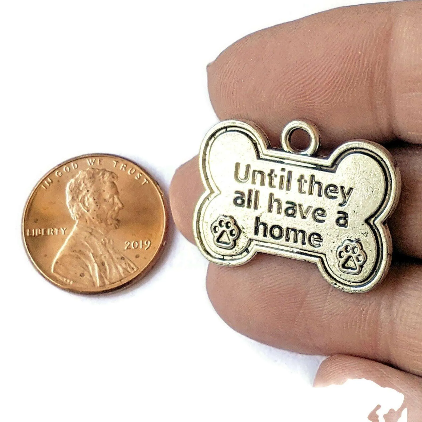 Until They All Have a Home Charm